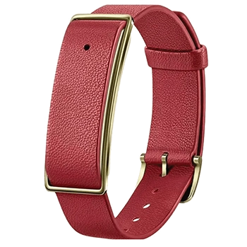مچ بند هوشمند هوآوی مدل Color Band A1